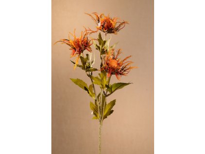 F280 o Dry Wild Sea Holly aranžovací květina oranžožvá 67 cm