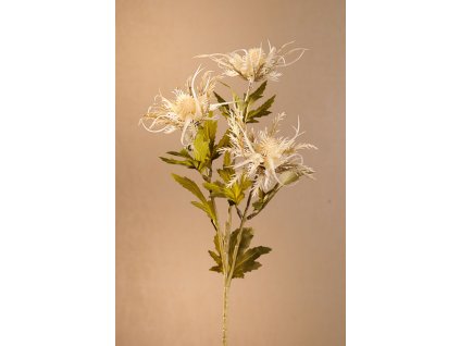 F280 WDry Wild Sea Holly aranžovací květina bílá 67 cm