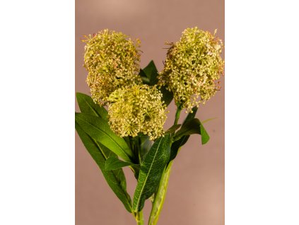 F284 G Umělá Skimmia zelená 58 cm