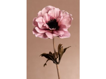 F310 P DRY SINGLE ANEMONE umělá květina růžová 35 cm od Paramit