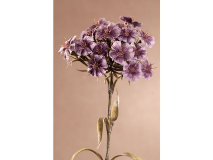 F313 DRY DIANTHUS Aranžovací květina 55 cm fialová