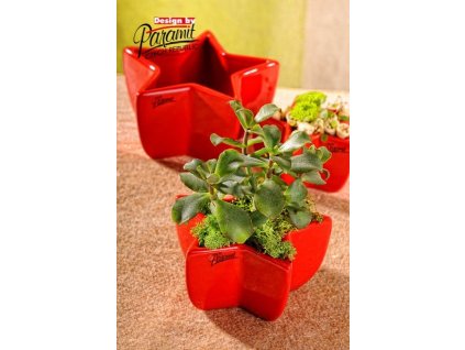 Hvězda miska červená 10 cm - Paramit - 11034-10R