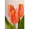 107O Francouzský umělý tulipán oranžový 40 cm