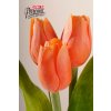 Dekorativní květina francouzský tulipán oranžová - Paramit - 107O