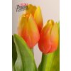 Dekorativní květina francouzský tulipán žluto oranžová - Paramit - 107O2