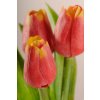 107R Francouzský umělý tulipán červeno žlutý 40 cm