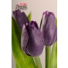 Dekorativní květina francouzský tulipán fialová - Paramit - 107V