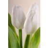 107W1 Francouzský umělý tulipán světle bílý 40 cm
