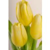 107Y1 Francouzský umělý tulipán světle žlutý 40 cm