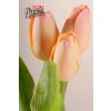 107A1 Francouzský tulipán světle broskvový 40cm