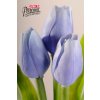 107B1 Francouzský tulipán světle modrý 40cm