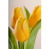 107Y2 Francouzský umělý tulipán jasně žlutý 40 cm