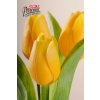 107Y2 Francouzský tulipán jasně žlutý 40cm