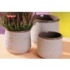 323 12GY natur obal šedý 12cm
