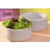 324 23W natur miska bilá 23cm