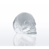 150858 CRANIO forma na led od Cilio