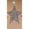 X239M Vánoční hvězdička stříbrná od Paramit