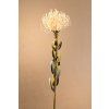 DRY SMALL PROTEA Aranžovací květina bílá 61 cm