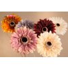 F248 Umělé gerbery 53 cm od Paramit