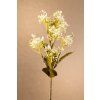 F253 W WILD HORTENZIA white Krásná divoká hortenzie bílá od Paramit