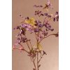 F311 L DRY TUNG FLOWER dekorační květina 63 cm fialová