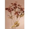 F314 R DRY DIANTHUS Umělý hvozdík 65 cm hnědý od Paramit
