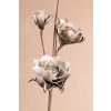 Dekorativní květina šedá 3 210GY