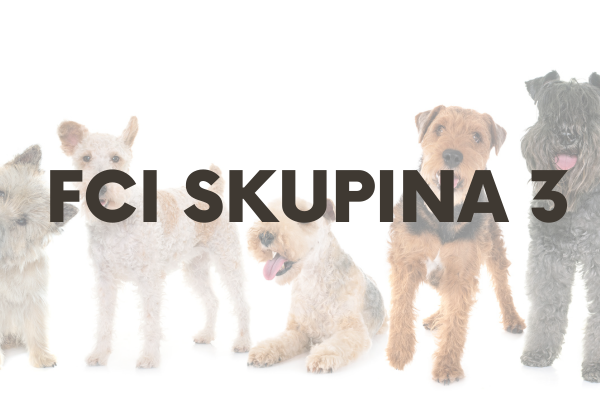 FCI Skupina 3 : Teriéry