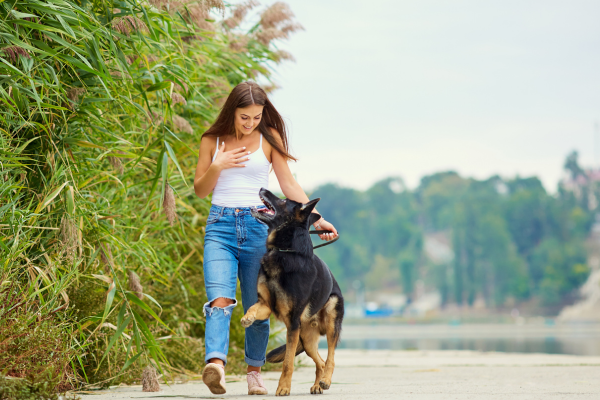 Jak poznat, koho si pes vybral za pána? 10 jasných znaků