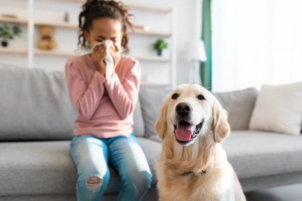 🩺 Hypoalergenní plemena psů – Existují vůbec psi pro alergiky?