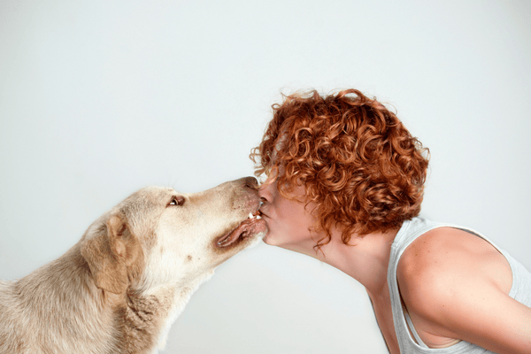 Psí řeč těla: Naučte se rozumět svému psovi od čumáku až po ocas