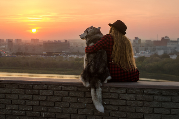 Jak pes vnímá člověka? Vidí do nás víc, než si připouštíme?