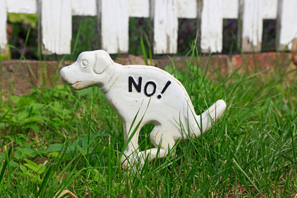 Jak naučit psa vykonávat potřebu na jednom místě a v klidu