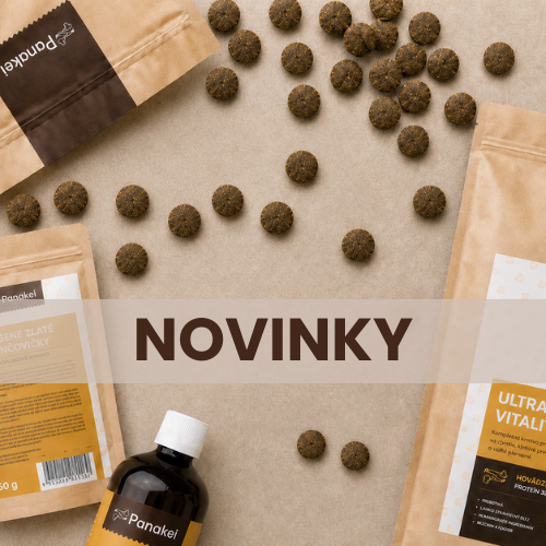 Novinky