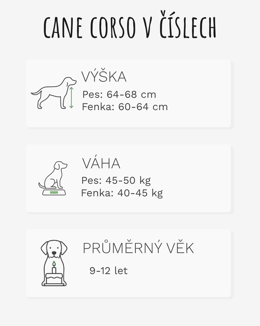 Cane Corso