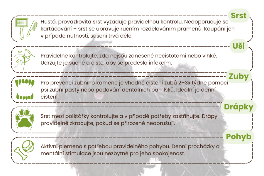 péče-o-plemeno-puli