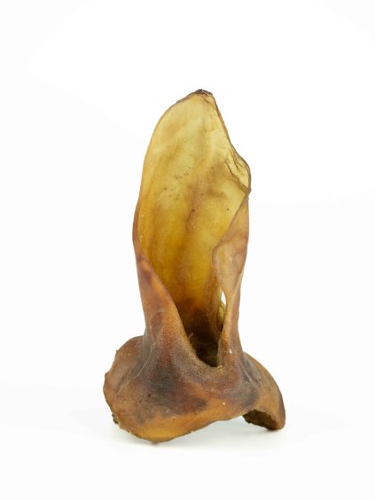 Velké sušené hovězí ucho s masem pro psy na žvýkání