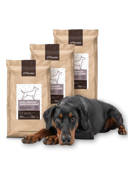 Dizajn bez názvu (7)