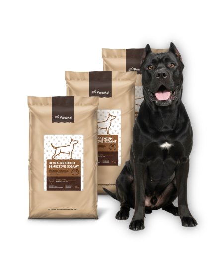 Dizajn bez názvu (3) (1)