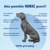 Infografika „Jak pomůže HUMAC psovi?“ s přehledem hlavních účinků doplňku