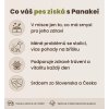 Ikonová grafika Panakei s přínosy grain free receptury Srnec + Zajíc + Batát