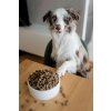 Pes středního plemene u misky s granulami Panakei Hovězí + Krůtí