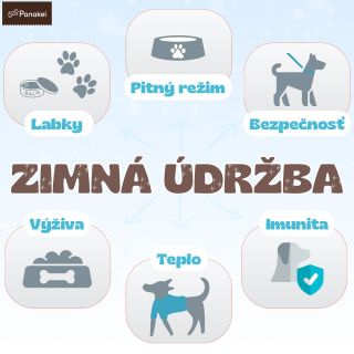 Ako sa postarať o 🐶 v zime : 6 🔑 tipov ❄️ 1️⃣ Labky - Pred mrazom a posypovou soľou na cestách ich chráňte balzamom a po...