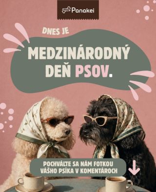 Dnes majú sviatok všetky chlpaté zlatíčka, šéfovia domácnosti aj profesionálni zlodeji ponožiek! 🐶💚 Oslávme Medzinárodný...