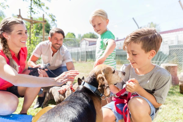 🐶 Adopcia psa z útulku: Láska, ktorá si zaslúži druhú šancu