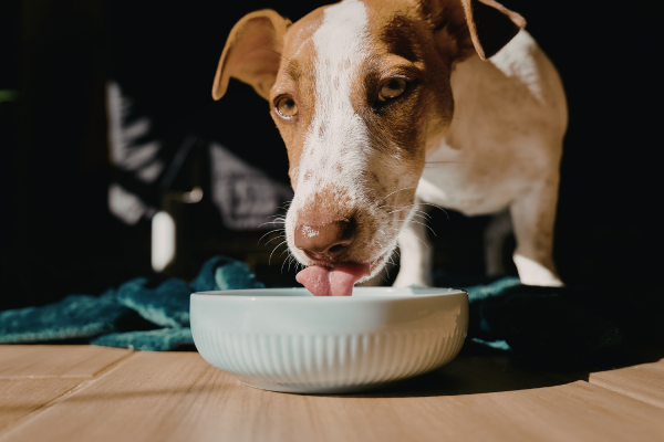 Granule, alebo granuly? Vieme, že nevieme.