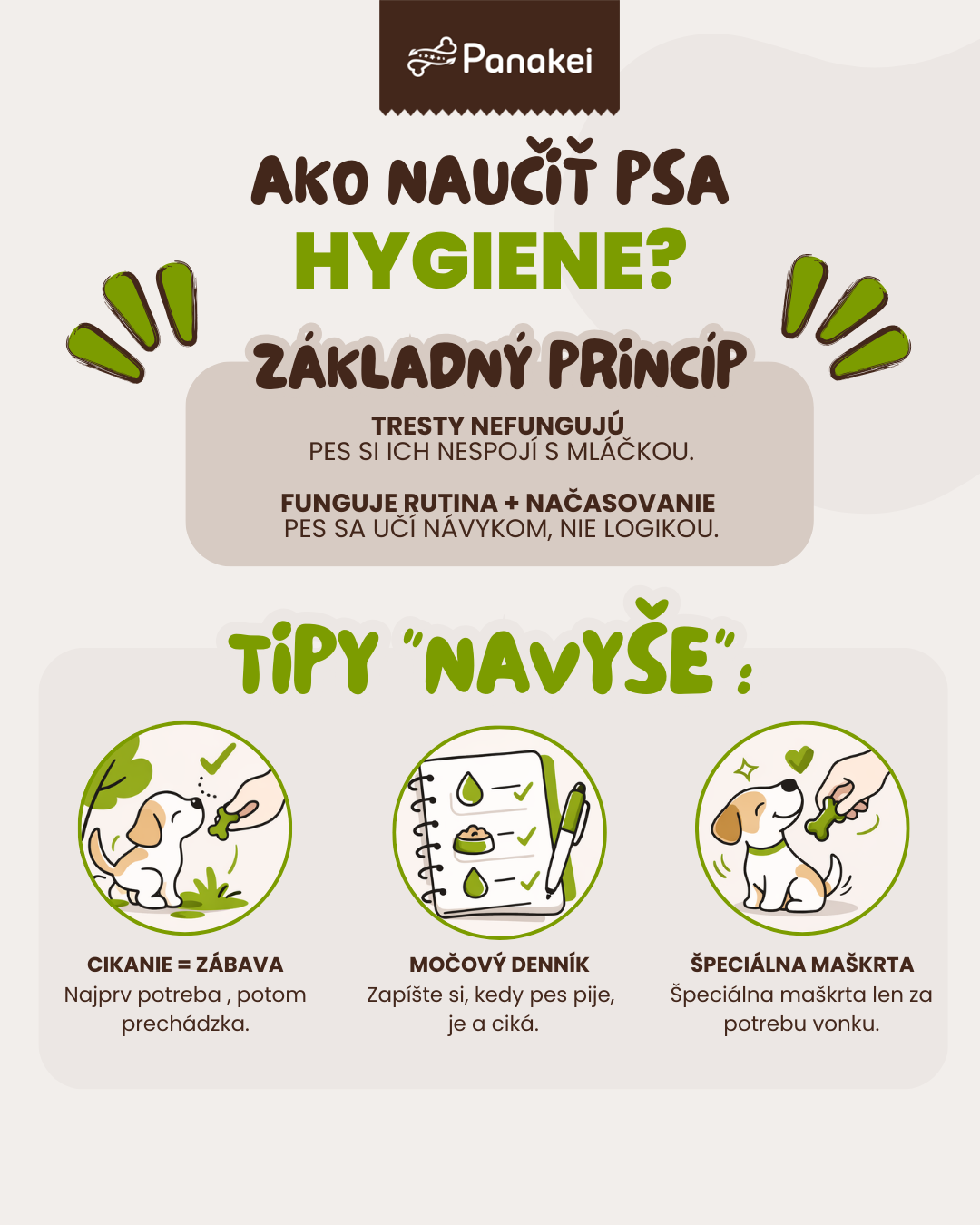 Ako naučiť psa cikať vonku?