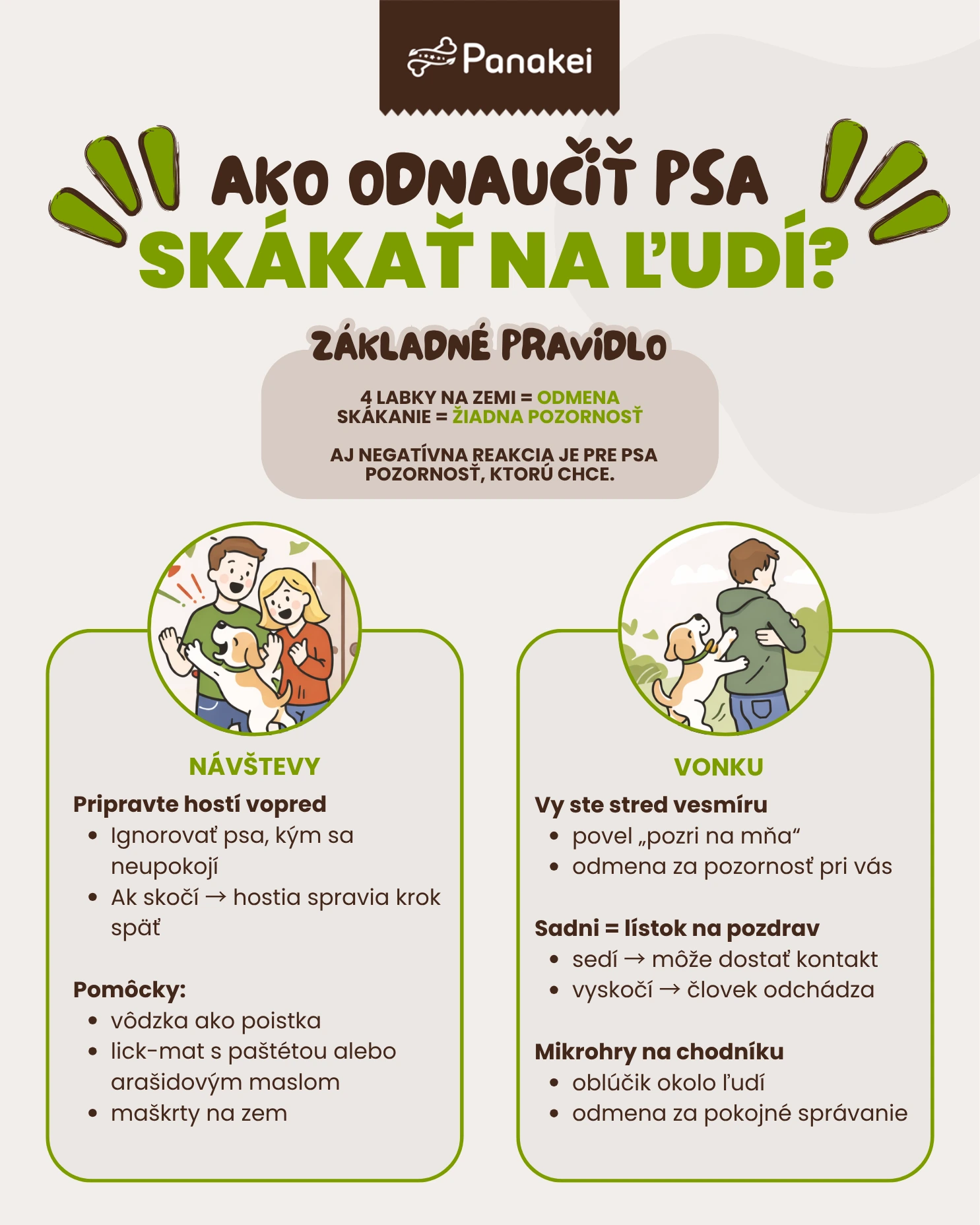 ako-odnaucit-psa-skakat