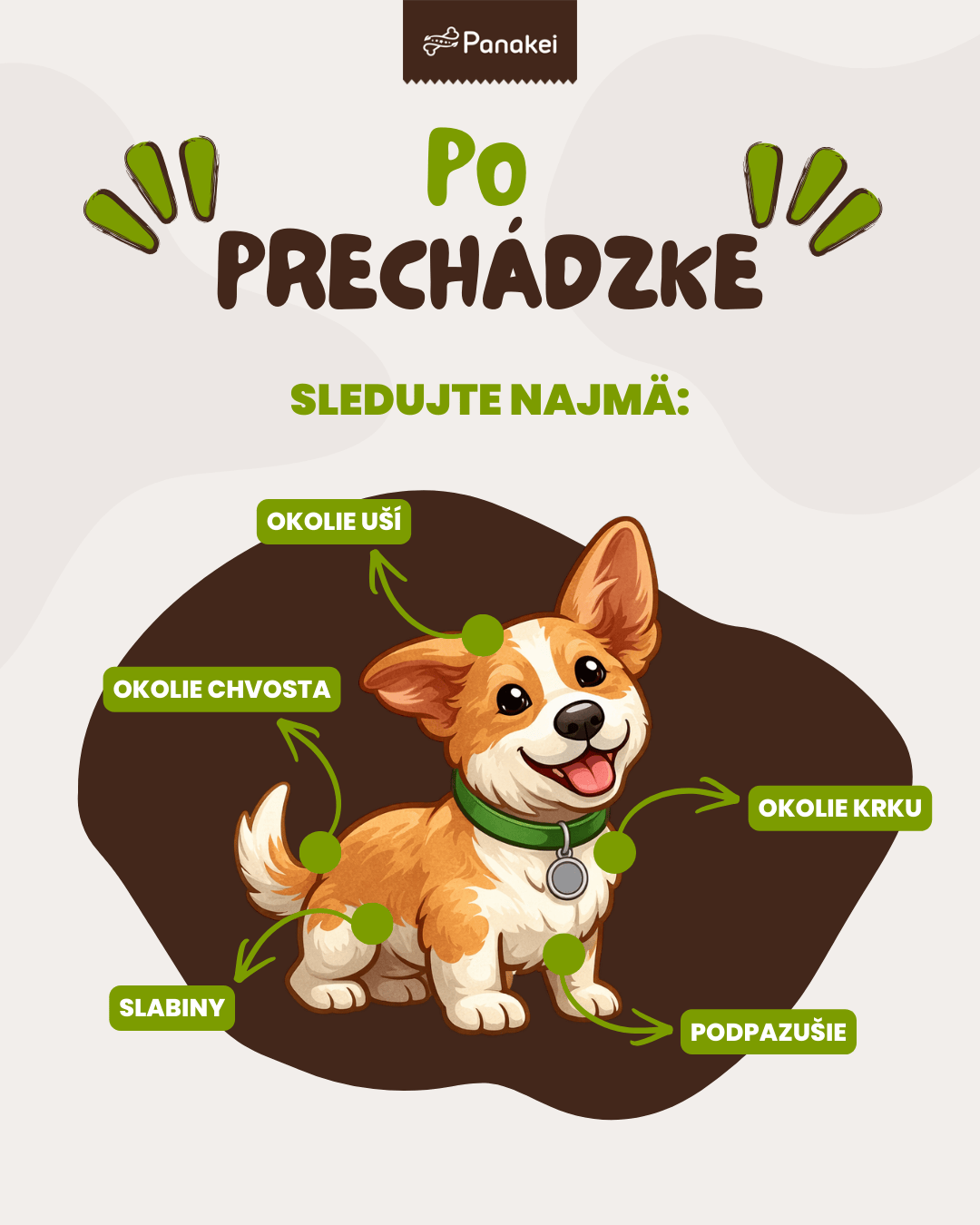 ako prezrieť psa po prechádzke