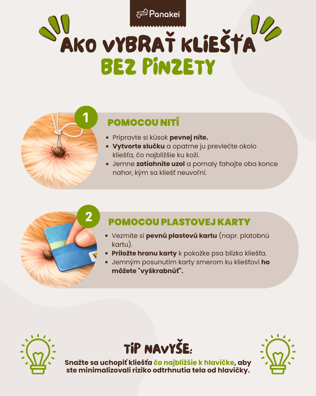 ako vybrať psovi kliešťa?